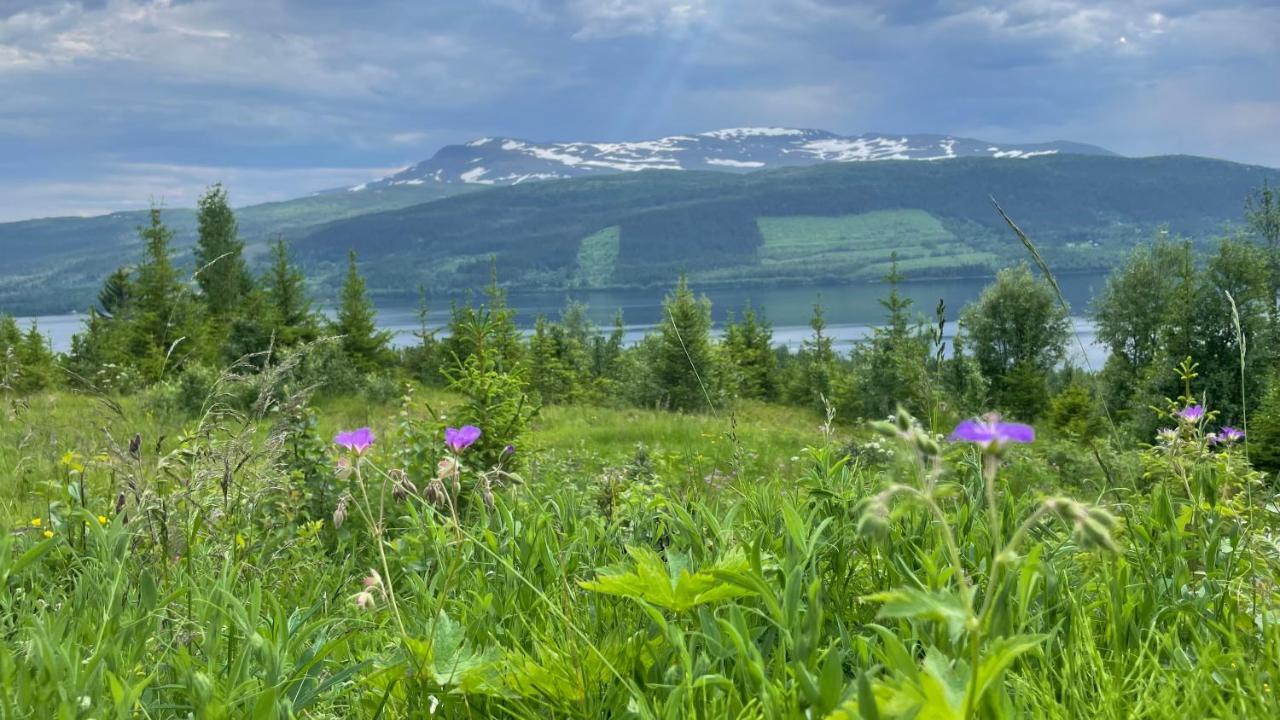 Apartmán Areskutans Laegenhet Med Laddning Foer Bil 22Kw Husa Exteriér fotografie